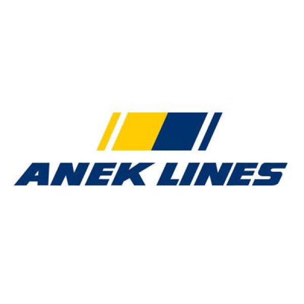 anek-lines.jpg